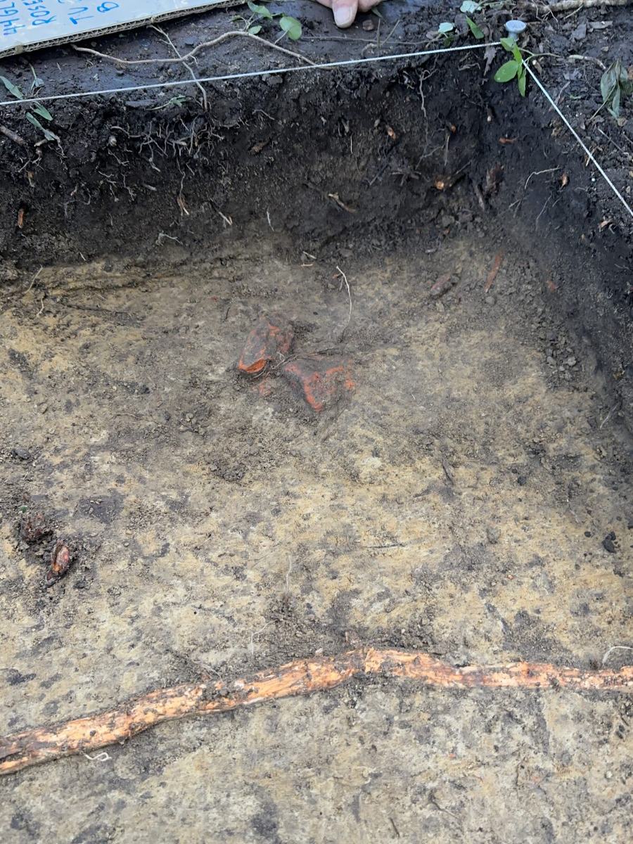 Brick fragments exposed in an excavation unit at Fairfield